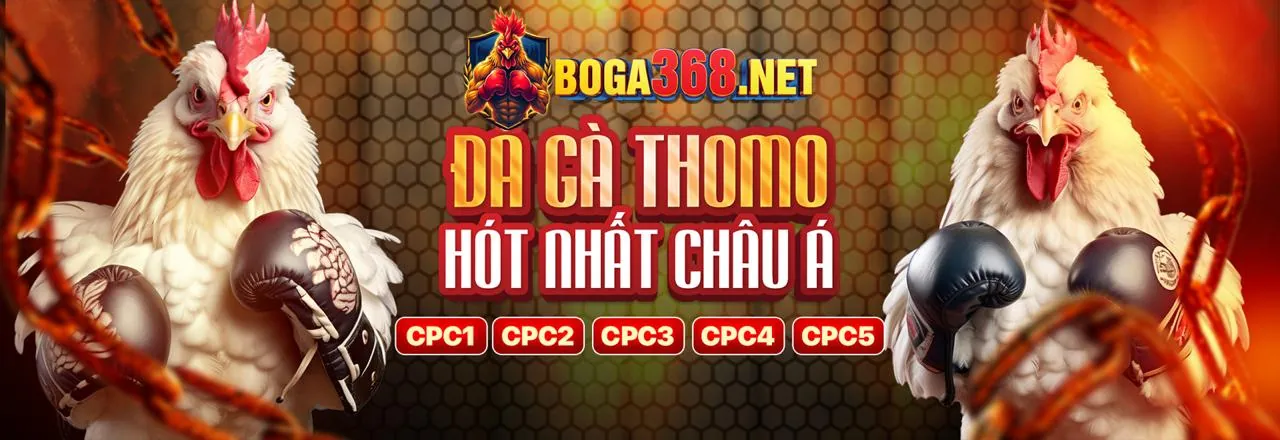 Đá gà trực tuyến 888now đăng nhập